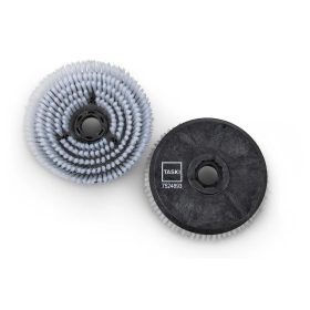 TASKI Kefe swingo250-hez brush 225mm 2x1db 