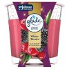 Glade illatgyertya 112g (6db/karton) Winter Berries